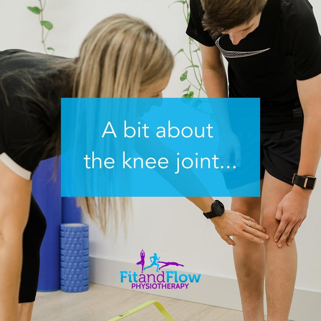 Physio for Knee Injuries - Fit and Flow Physiotherapy - Physio Sutherland